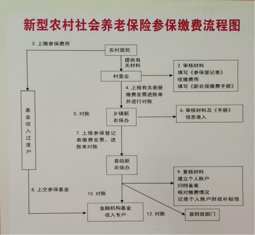 琼海农村医保和社保有什么区别(农村医保跟社保的区别)