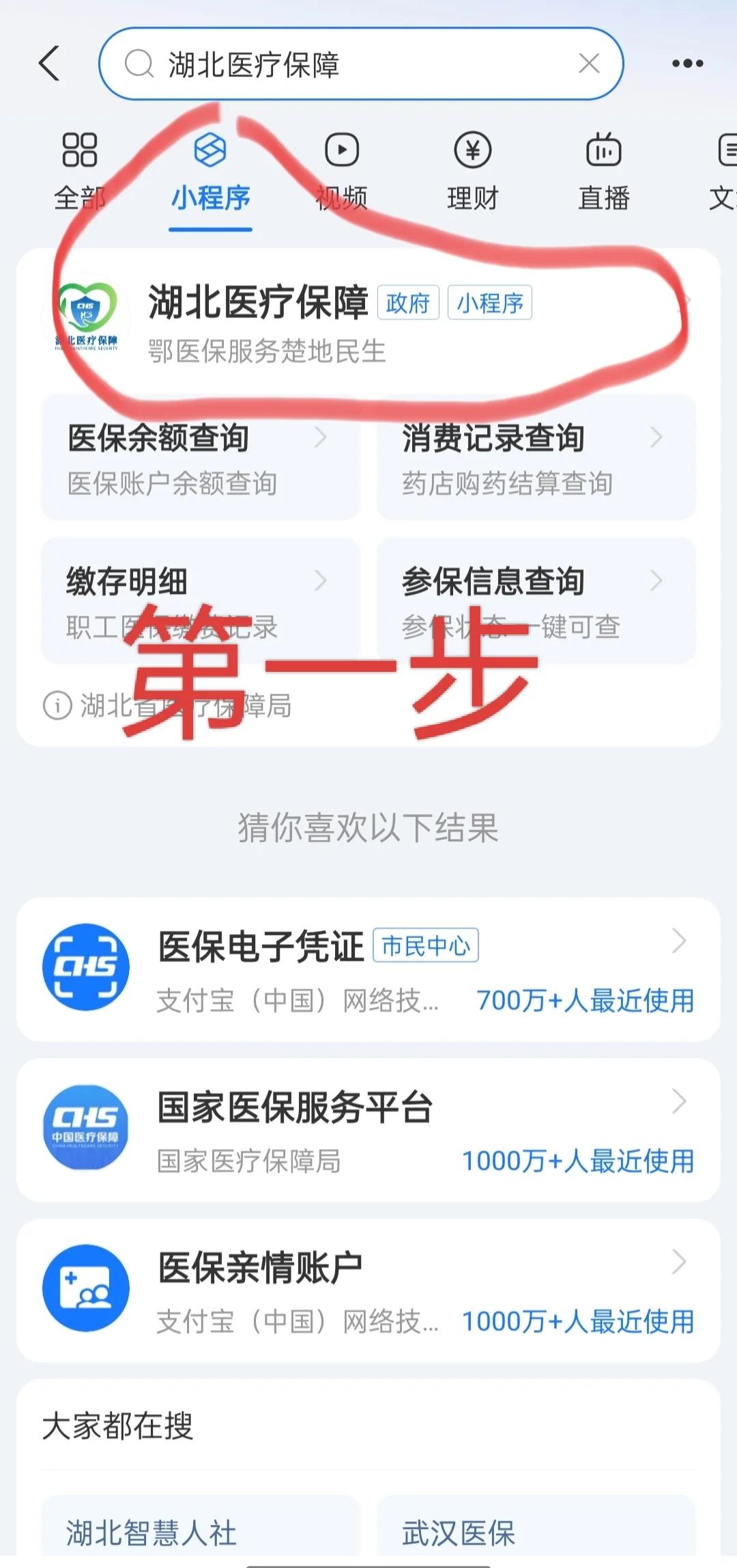 琼海医保网上怎么缴费(孩子居民医保网上怎么缴费)